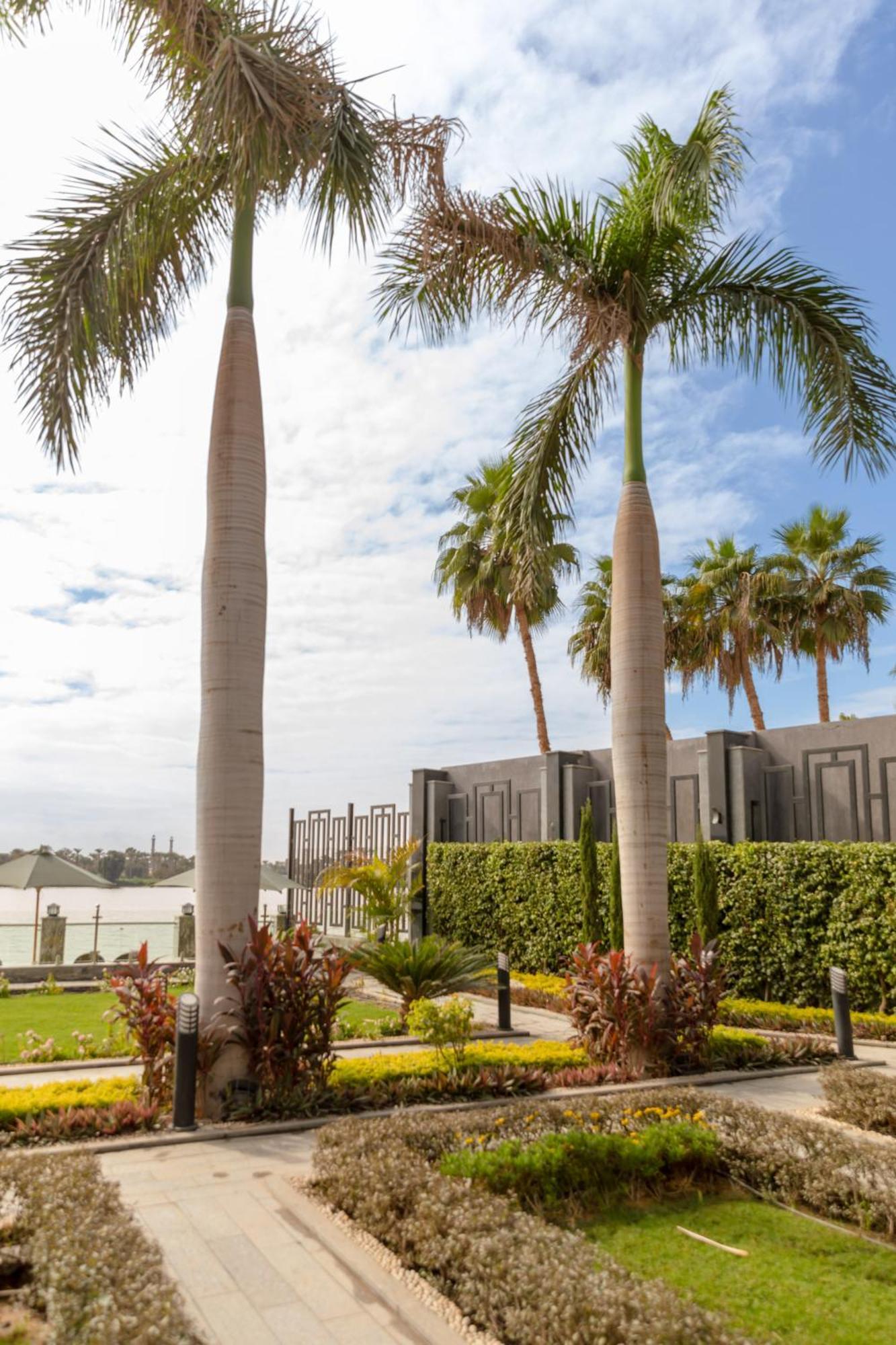 Nile Club Hotel Cairo Ngoại thất bức ảnh